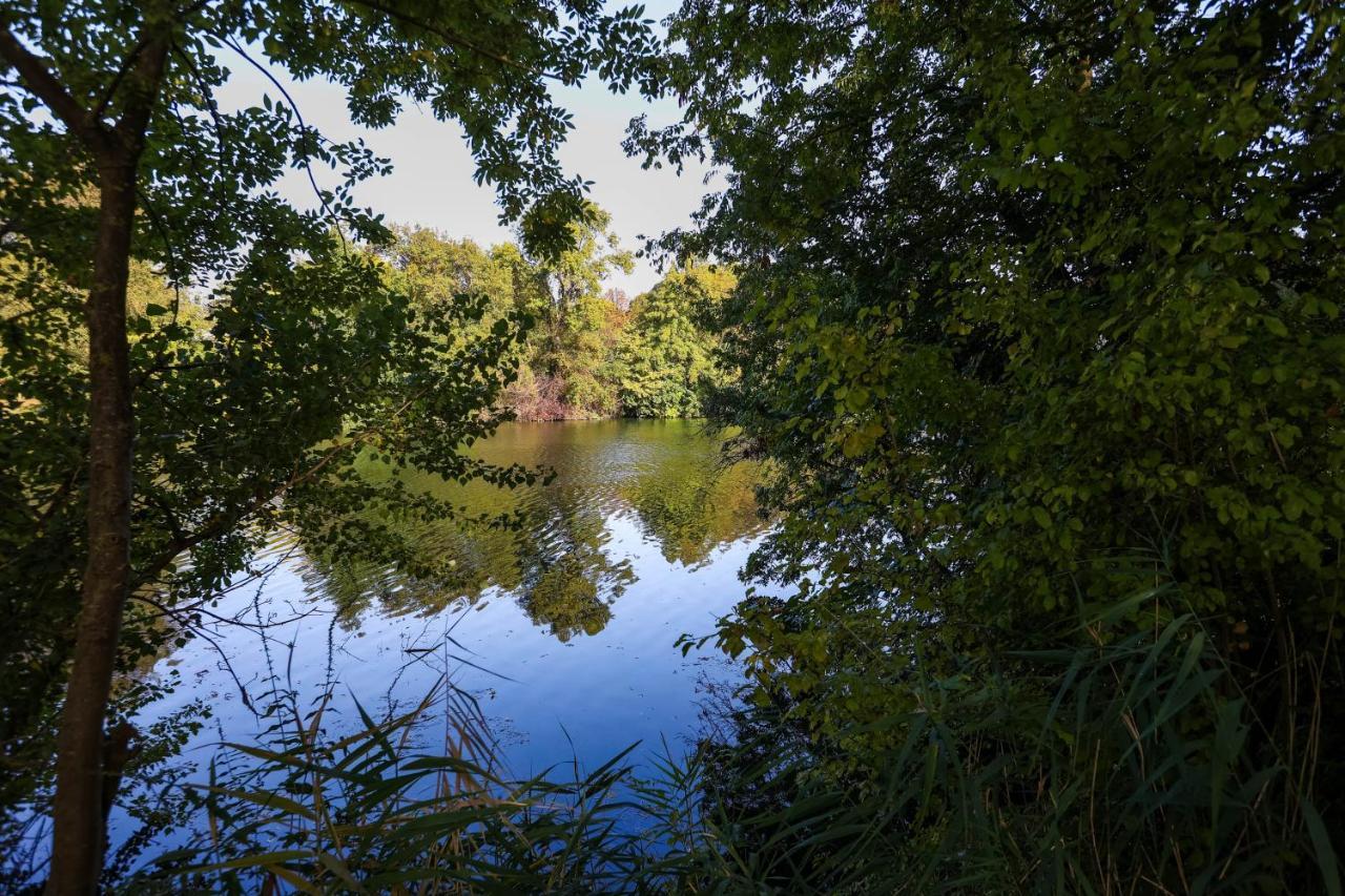 Le Saint Martin #Centre Ville #Charente #6Pers Коньяк Екстер'єр фото